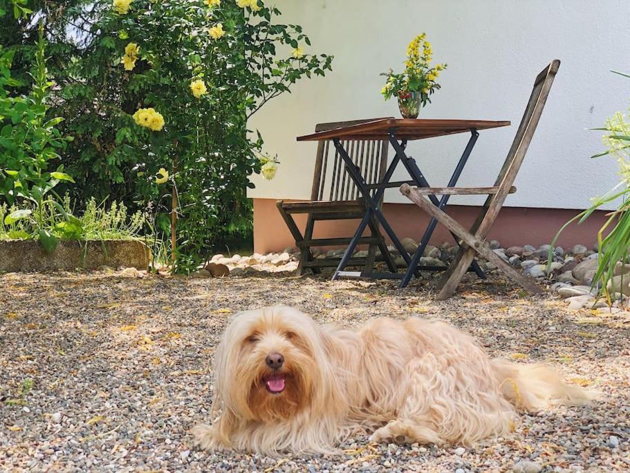 Gaestehaus Im Garten Zeitlofs エクステリア 写真